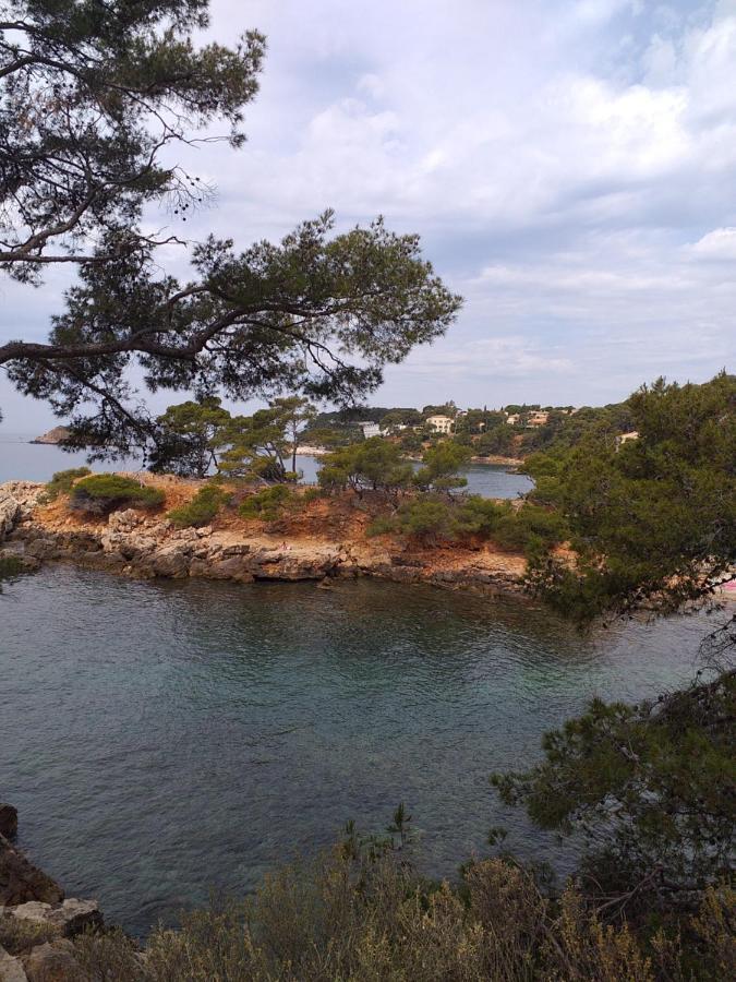 Joli Studio Res Au Calme En Rez De Jardin A Bandol. エクステリア 写真